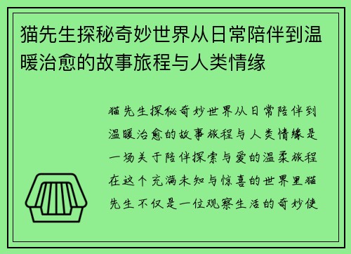 猫先生探秘奇妙世界从日常陪伴到温暖治愈的故事旅程与人类情缘 猫先生探秘奇妙世界从日常陪伴到温暖治愈的故事旅程与人类情缘